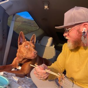 Meet your Posher, Hunter